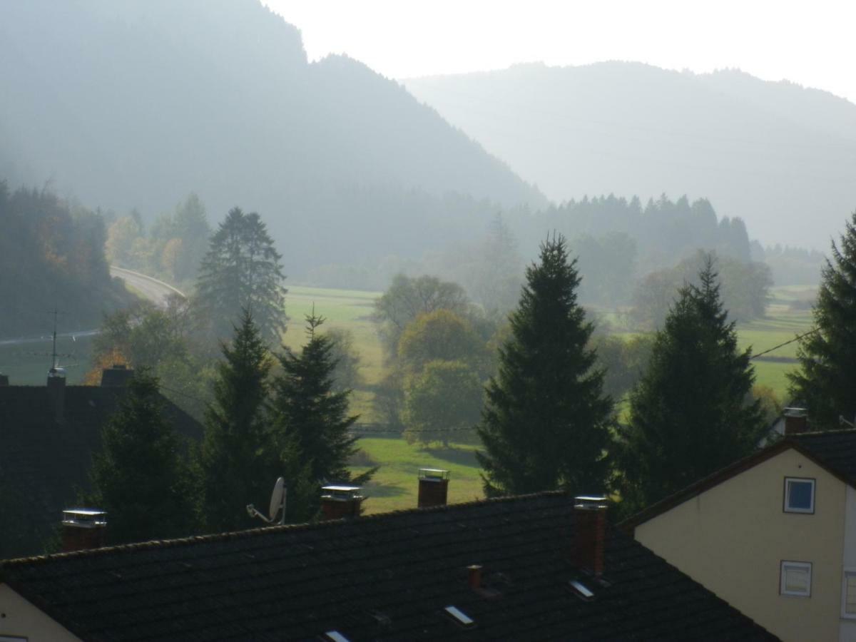 Urseetalblick Wg 7 Apartment Lenzkirch Luaran gambar