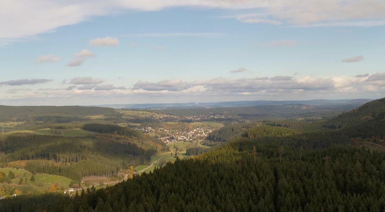 Urseetalblick Wg 7 Apartment Lenzkirch Luaran gambar